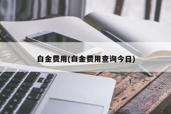 白金费用(白金费用查询今日)